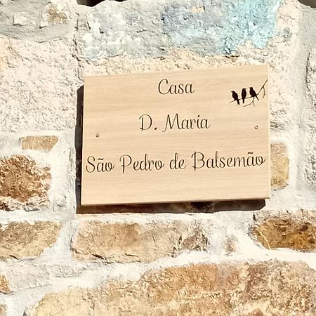 D. Maria Sao Pedro De Balsemao Guest House Lamego Exterior photo