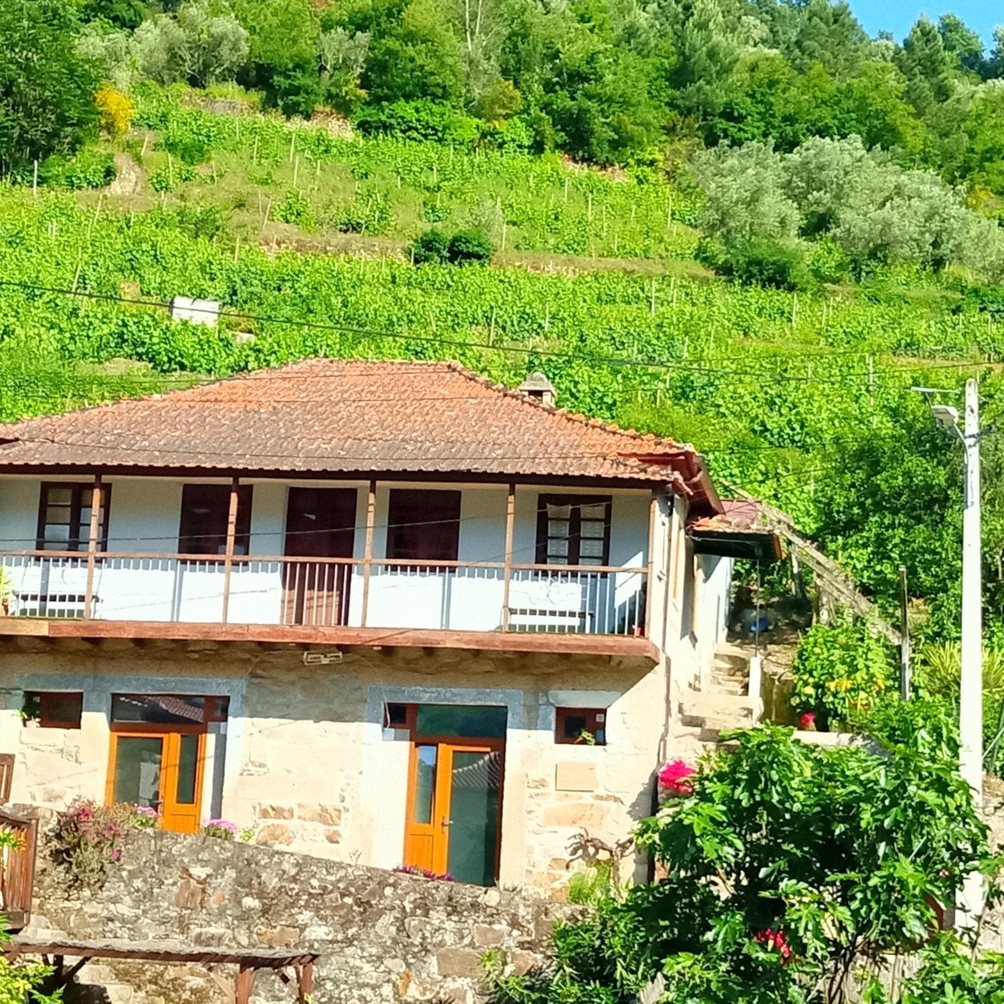 D. Maria Sao Pedro De Balsemao Guest House Lamego Exterior photo