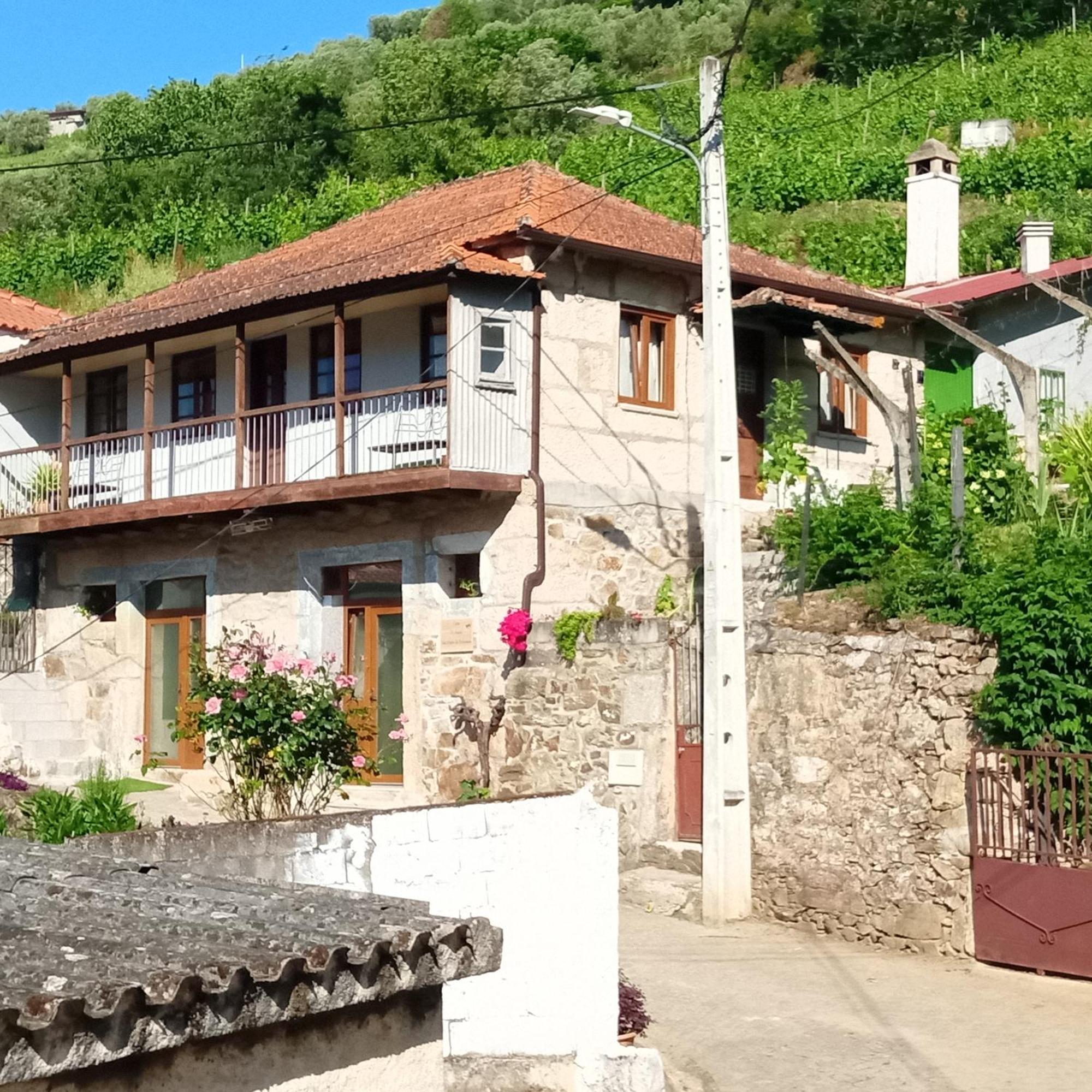 D. Maria Sao Pedro De Balsemao Guest House Lamego Exterior photo